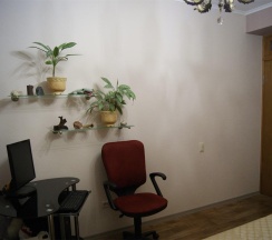 3-комнатные апартаменты люкс в Оливия