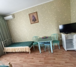 Трехместный номер с двуспальной кроватью и с односпальной кроватью + 2 доп. места (раскладной диван) в Зеленая крыша