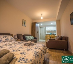 Студия с балконом в Bakuriani Plaza A 208