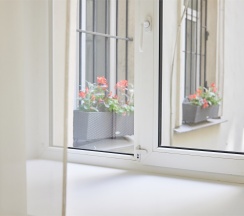 Economy Frame в The Bridge hotel