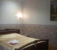 Двухместный номер Standard (двуспальная кровать) в У домика Петра