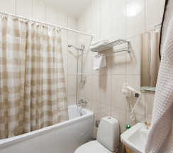 Стандарт в Горки