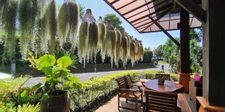 Муанг: Курортный отель Mai Morn Resort SHA Plus