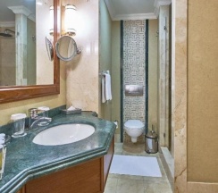 Двухместный номер Deluxe с видом на город 2 отдельные кровати в Rixos President Astana