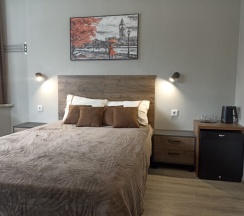 Стандарт с двуспальной кроватью в Ana