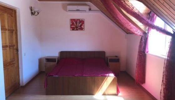 Пицунда: Гостевой дом Guest House Dana