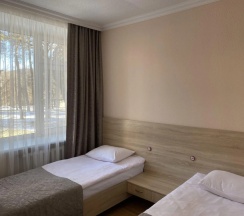 Номер Standard в Санаторий Осетия