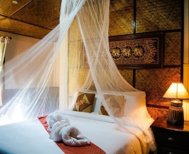 Одноместный номер Superior в Marisa Resort & Spa Chiang Dao