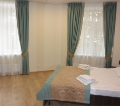 Стандартный  2-местный с гостиной (джуниор сюит) в Истра