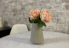 Апартаменты Апартаменты на Торфяная улица, 8/1 в Зеленой Поляне