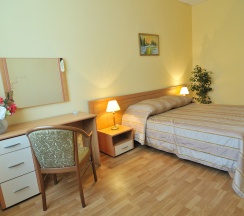 Стандартный номер с двуспальной кроватью в Олимпийский