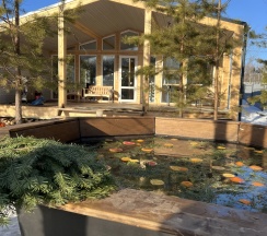 Дом в Delfin house