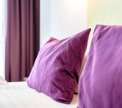 Двухместный номер Standard с видом на улицу двуспальная кровать в Hotel Demas City