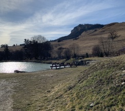 Двухместный номер в Золотая рыбка