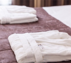 Люкс в Bishotel