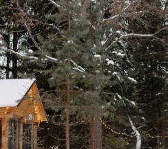 Барнхаус №2 в Илеть