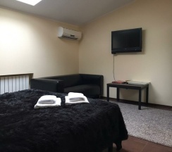 Улучшенный в Эрмитаж