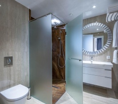 Президентский люкс в Delta Sirius