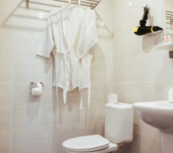 Номер «Комфорт» с 1 кроватью или 2 отдельными кроватями (Вид на Литейный проспект) в Geleon