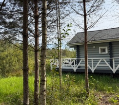 Коттедж VIP №4, 23,24,25 в Литвиново