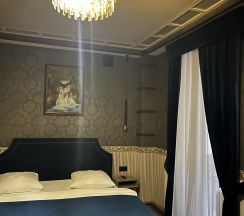 2 х местный стандарт в Metropol