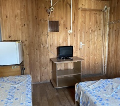 Номер эконом (мансарда) в Аист