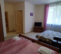 Трёхместный номер Comfort с красивым видом из окна в Альпенхауз