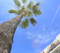 Апартаменты в Cambrils Park 4D