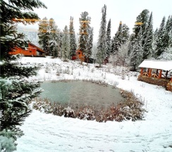 Полулюкс новый в Телецкое Золотое