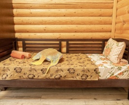 Стандартный номер на первом этаже с раздельными кроватями в Золотая рыбка