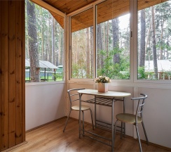 Коттедж-Студио в Салют