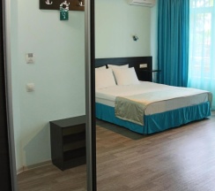 Номер полулюкс с 1 двуспальной кроватью в Триумф