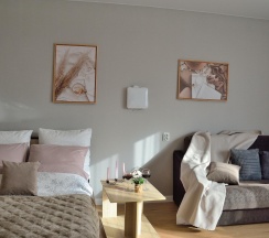 Апартаменты студия №1 в Мышкин уют