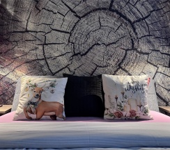 Апартаменты F Adventure Forest 55м. в Охта Adventure