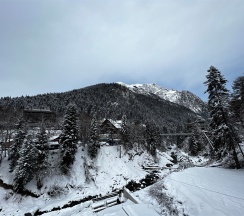 Полулюкс с двуспальной кроватью в Bostan