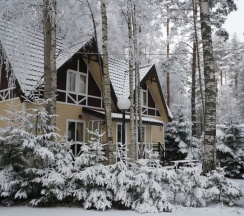 Коттедж Стандарт в Снежный