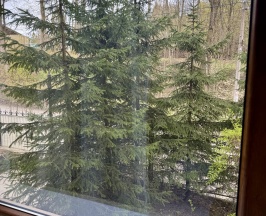 Стандарт с одной большой кроватью в Шувалоff