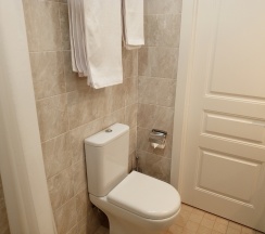 СТАНДАРТНЫЙ ДВУХМЕСТНЫЙ НОМЕР С ДОПОЛНИТЕЛЬНОЙ КРОВАТЬЮ в Петербург