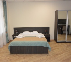 Стандартный  2-местный с гостиной (джуниор сюит) в Истра