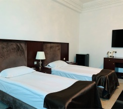Стандарт Твин в Artis plaza hotel