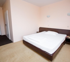 Номер стандарт с 1 двуспальной кроватью в Астория