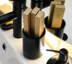 Стандарт семейный в Речные земли