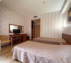 Двухместный номер Standard с балконом (2 отдельные кровати) в Holiday