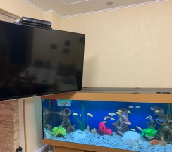 Квартира в Апартаменты на г Тула, ул Михеева, д 11А