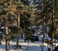 Номер люкс комфорт в Экосфера