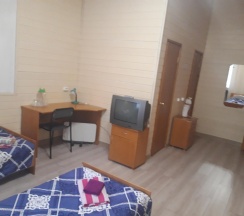 3-местный номер эконом стандарт с 3 односпальными кроватями в Дом аспиранта