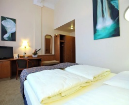 Двухместный номер Standard в Hotel Viktoria