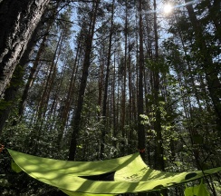 A-frame house в A-frame