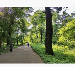 Квартира в Апартаменты на 1-й Коптельский переулок, 26с1