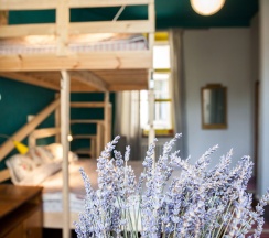 Камчатка в Chickadee Coliving
